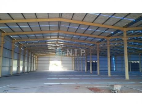 Alquilo Tinglado De 13000 M2