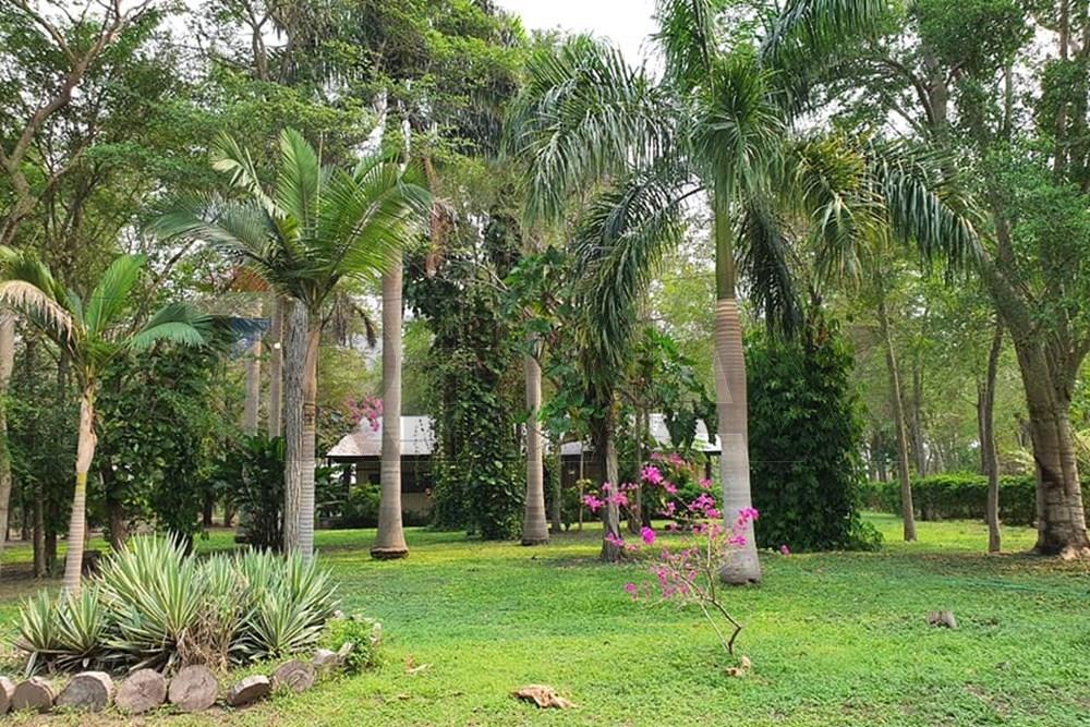 Estancia/Campo - Venta - Bahia Negra, Alto Paraguay, Paraguay — foto 2