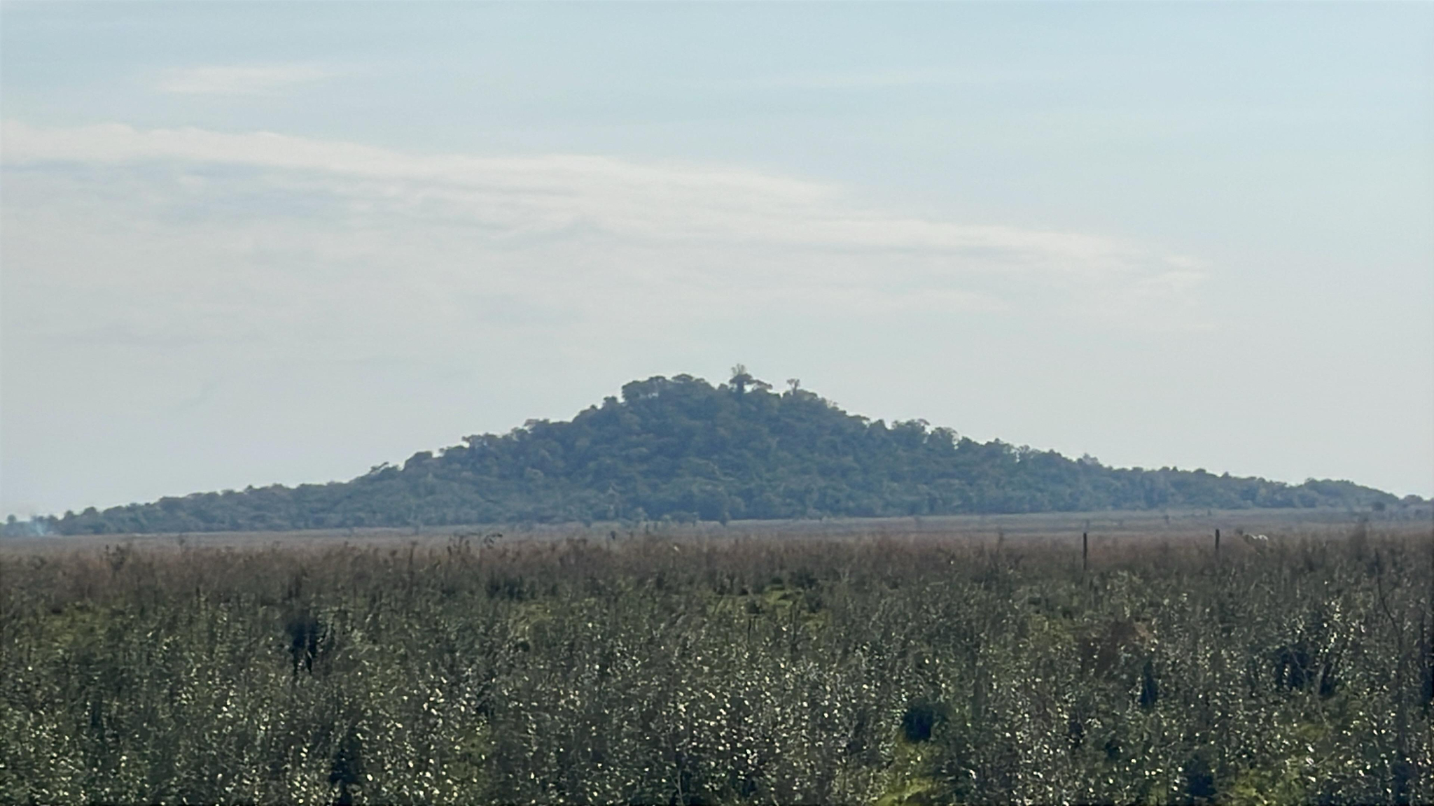 Vendo propiedad de 22 hectáreas en Tobati Compañía Isla Florida — foto 3