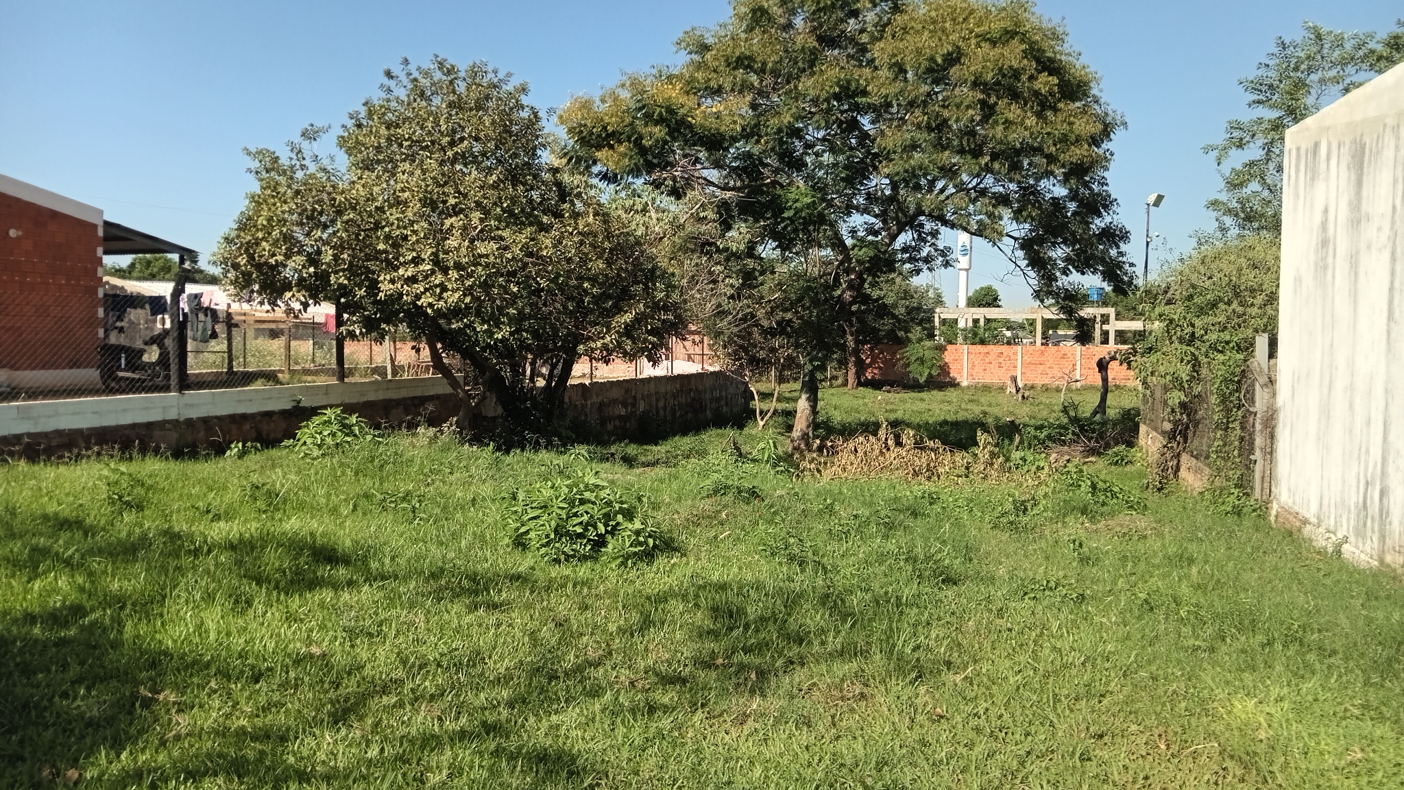 VENDO TERRENO EN CNEL. OVIEDO — foto 3