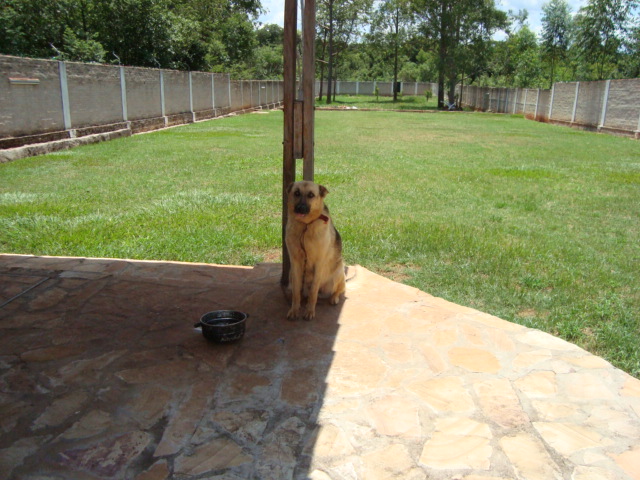 Casa en venta en Itauguá — foto 2