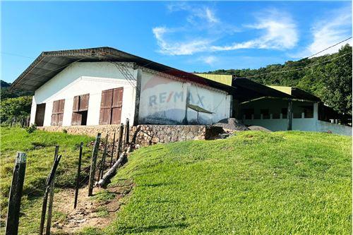 Finca Agrícola-Venta-PY Paraguarí Ybycuí — foto 3