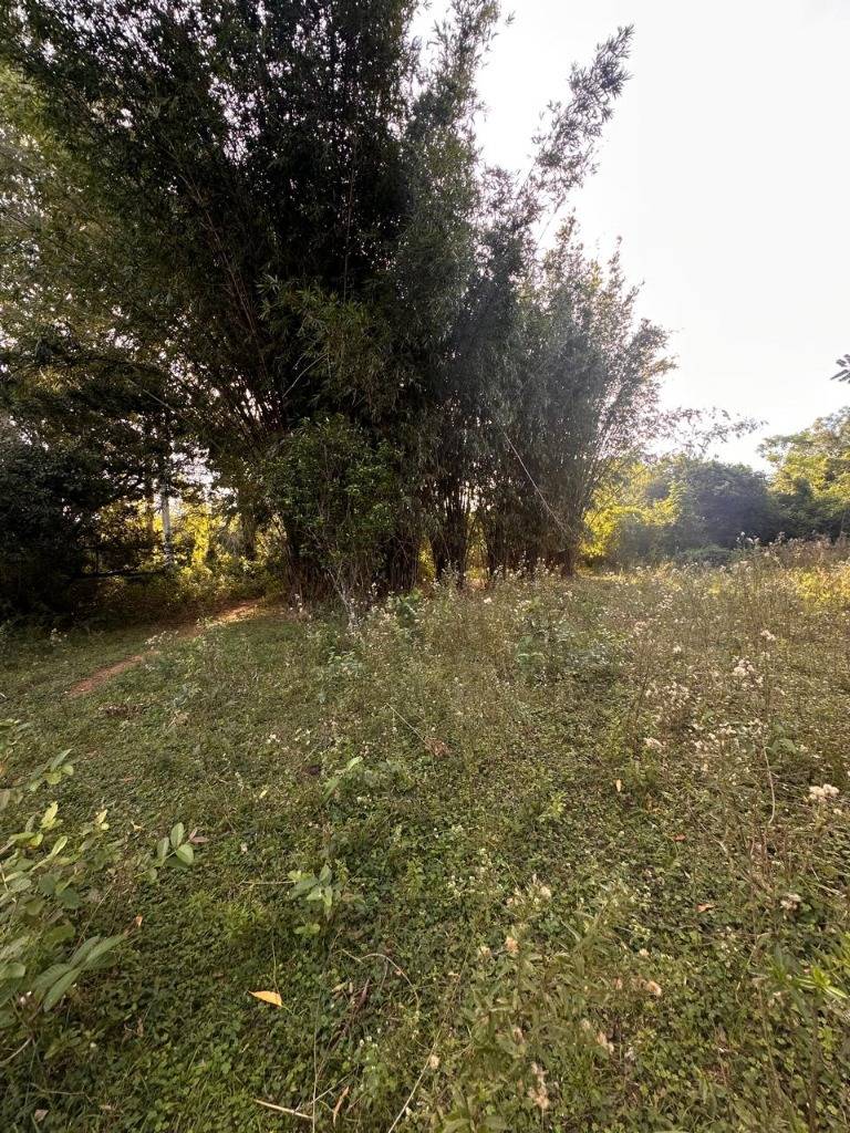VENDO Terreno 8.5 hectareas ruta PY01 - Yaguaron — foto 2