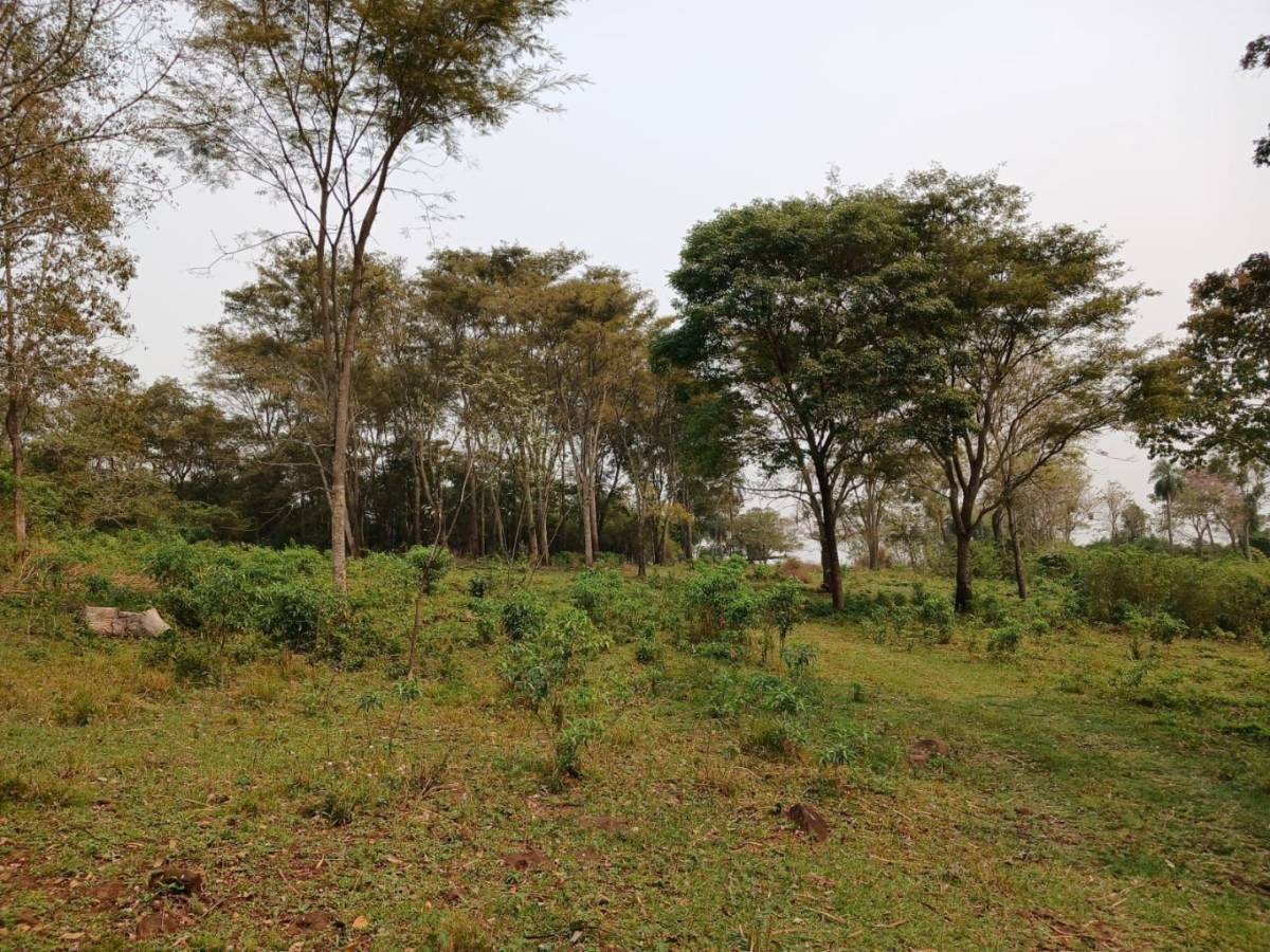VENDO TERRENO EN CORONEL OVIEDO — foto 2