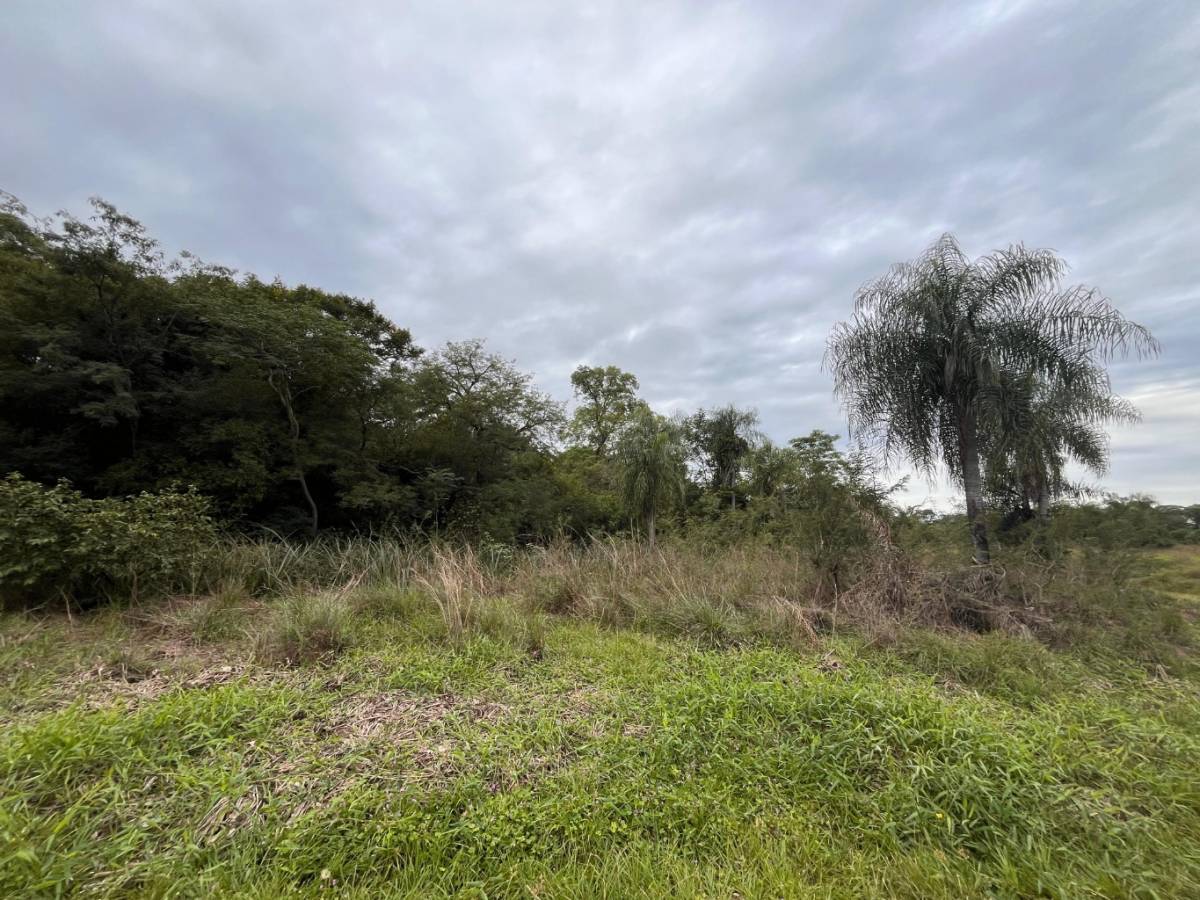 Vendo Terreno en San Bernardino — foto 2