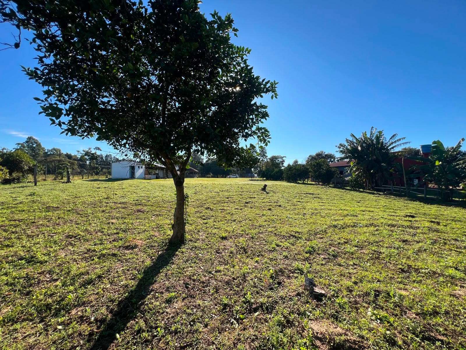Vendo Propiedad Comercial Sobre Ruta en Mbocayaty, Loma Barreto — foto 2