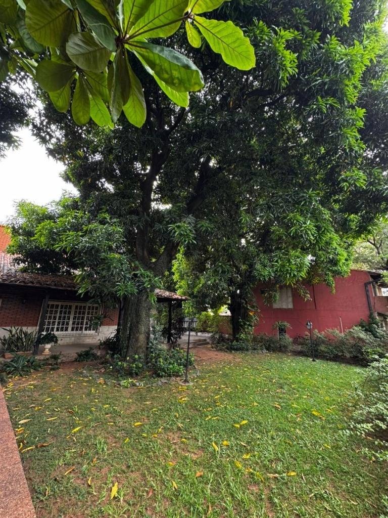 Vendo Propiedad En B° Ycua Sati — foto 3