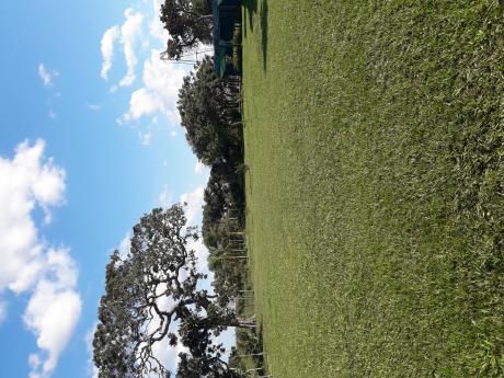 Quinta En Venta En El Urubo