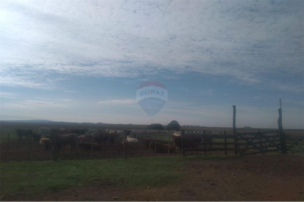 VENDO CAMPO EN CAAPUCU IDEAL PARA ENGORDE — foto 2