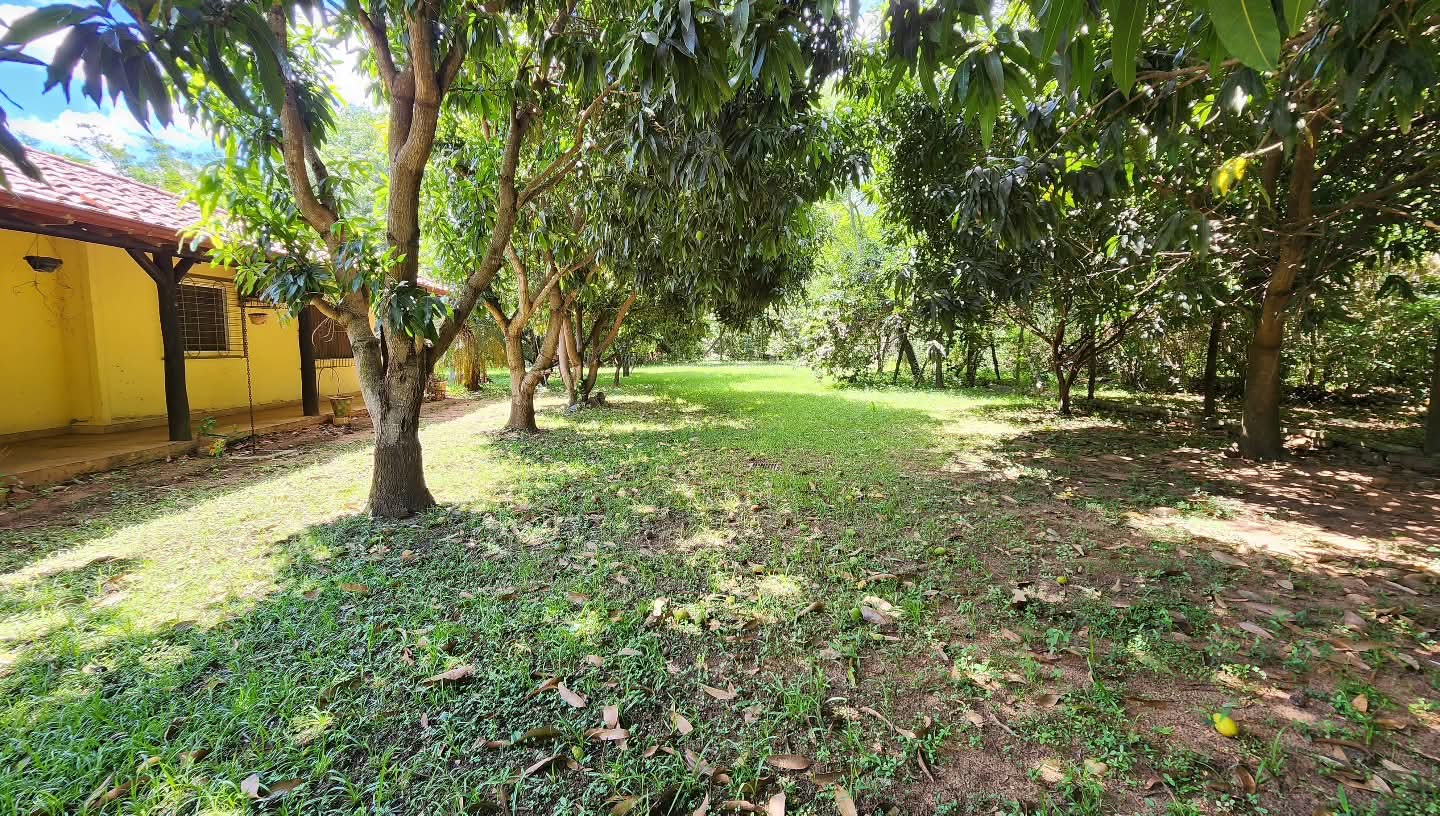Vendo Residencia En San Bernardino — foto 2