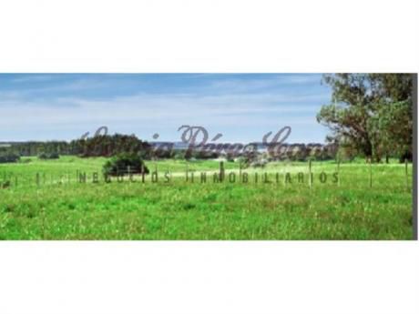 Chacras / Campos En José Ignacio: Lpc10056h