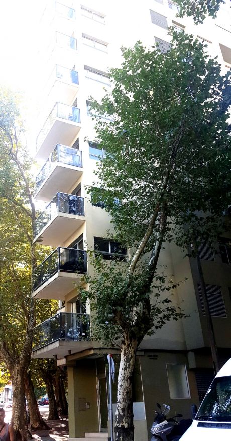 Moderno Y Cálido. Zona Parque Rodo - Rebajado! U$s235.000