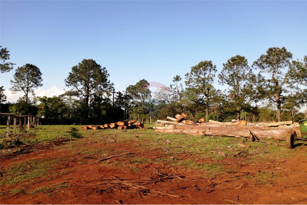 Terreno - Venta - Cambyretá, Itapúa, Paraguay — foto 3