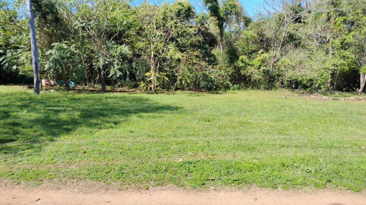EN VENTA TERRENO EN SAN BERNARDINO CIERVO CUA — foto 2