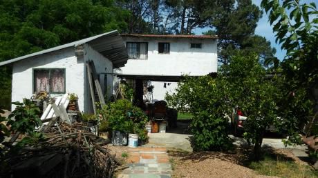 Venta Pinar N. 3 Dorm, 1b + Cochera + Parr + Dep+ Fondo
