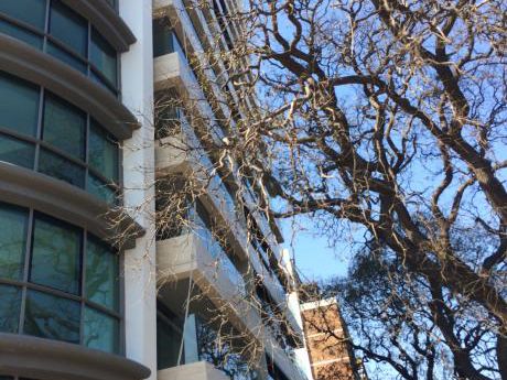 Elegante Y Moderno Apto Sobre Br. Artigas Frente Al Golf