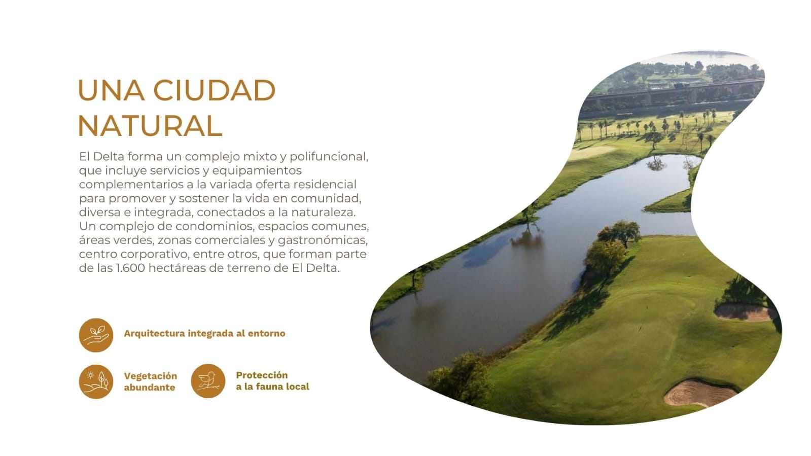 BARRIO NAUTICO EN EL DELTA DE NUEVA ASUNCION — foto 2