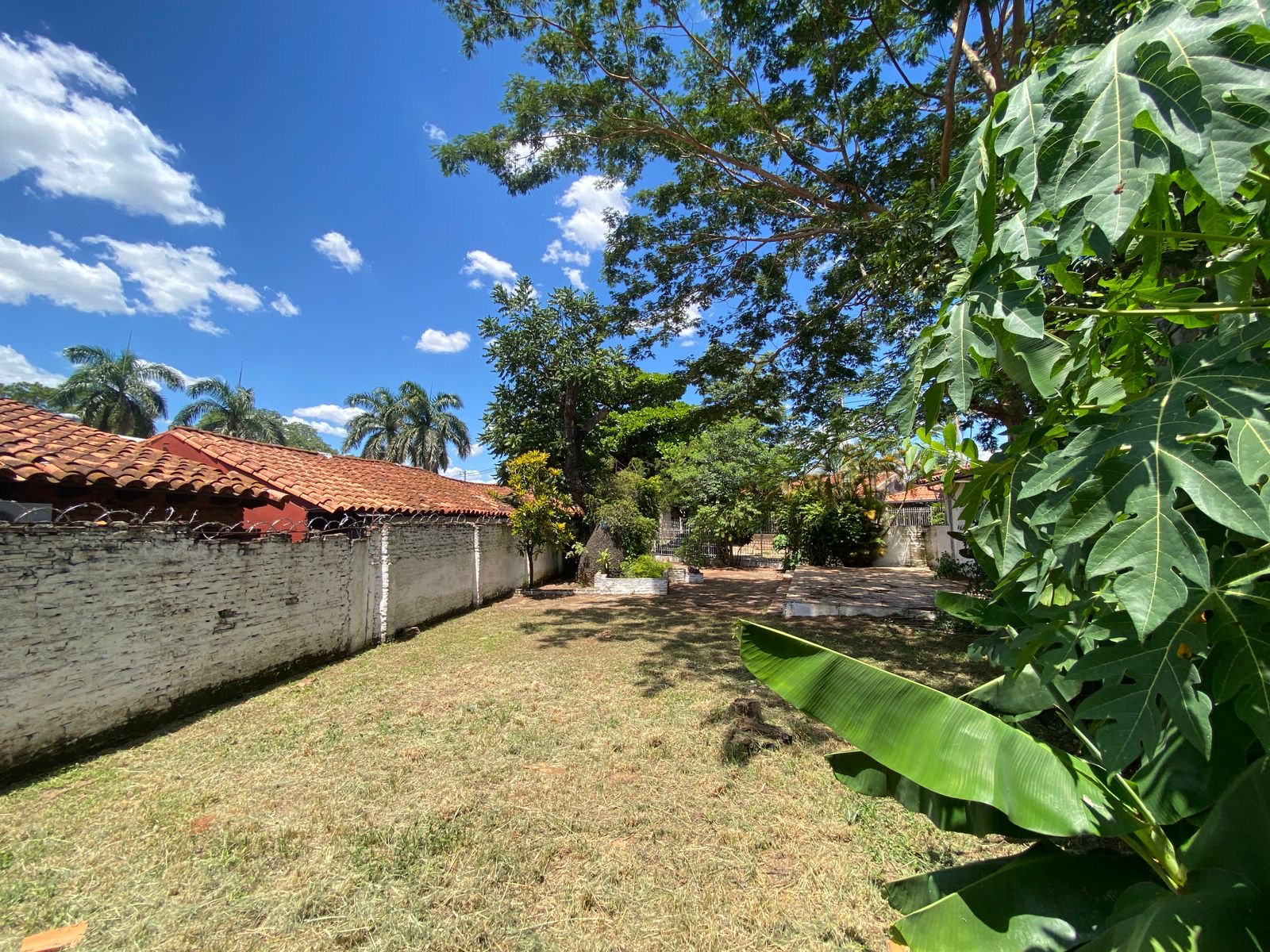 Vendo hermoso y amplio terreno en Lambare — foto 3