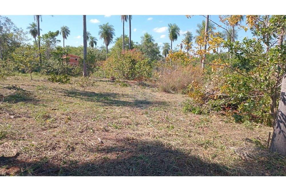 VENDO TERRENO EN  LOMA GRANDE — foto 3