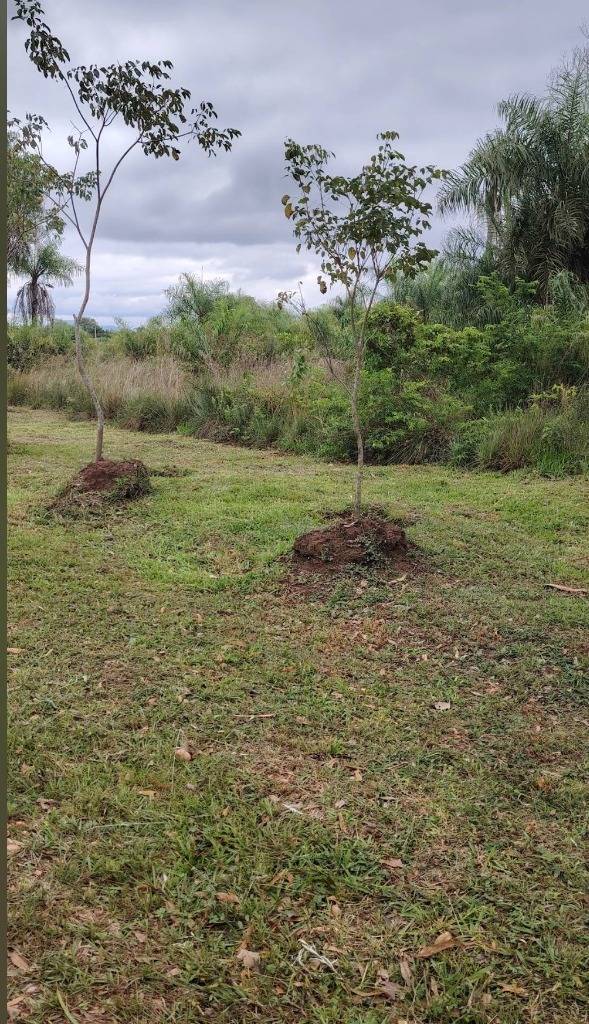 EN VENTA TERRENO EN SAN BERNARDINO ZONA EL CORTIJO — foto 2