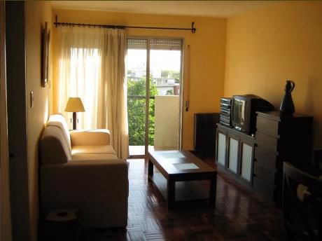 Hermoso 2 Dorm Propios Y Av Italia, Tza, Piso 5