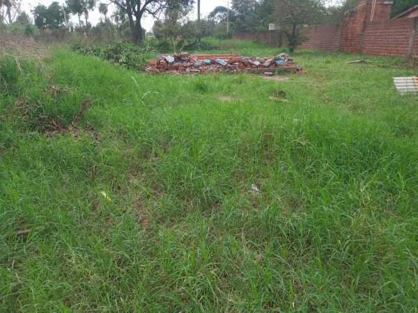 VENDO TERRENO EN ENCARNACION. — foto 2