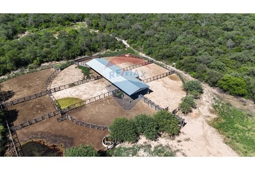 Estancia/Campo-Venta-PY Boquerón Mariscal José Felix Estigarribia — foto 2