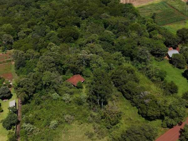 10 Hectareas en Venta Maria Auxiliadora y Tomas Romero Pereira — foto 2