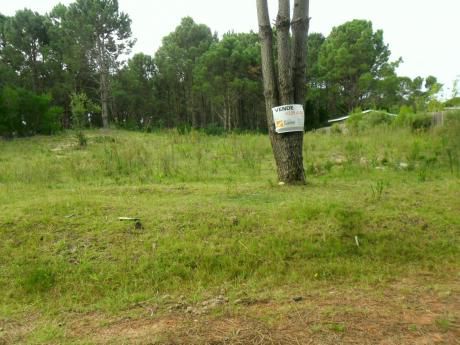 Lote En Venta