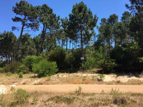 Lote En Venta