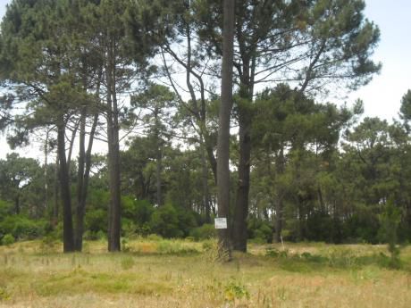 Lote En Venta