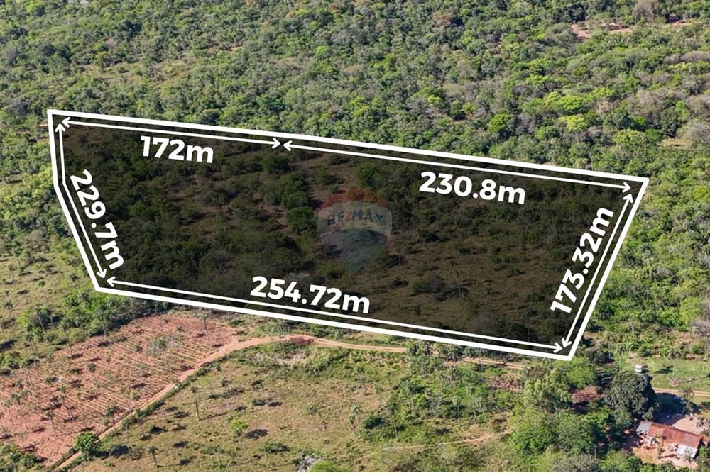 ¡En Venta ! terreno 6 Hectáreas — foto 2