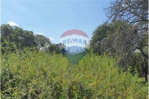 20 Hectareas (200.000 M2) EN VENTA — foto 3