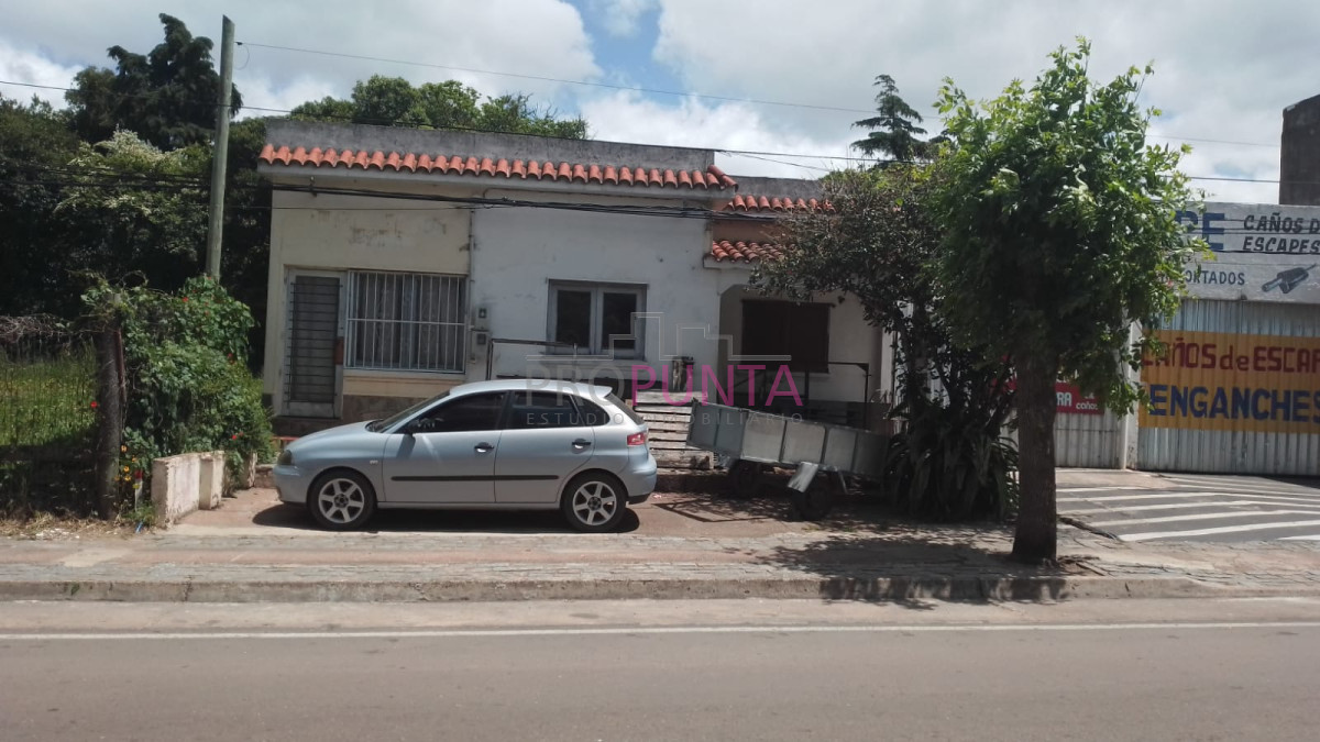 Foto 4 de 7