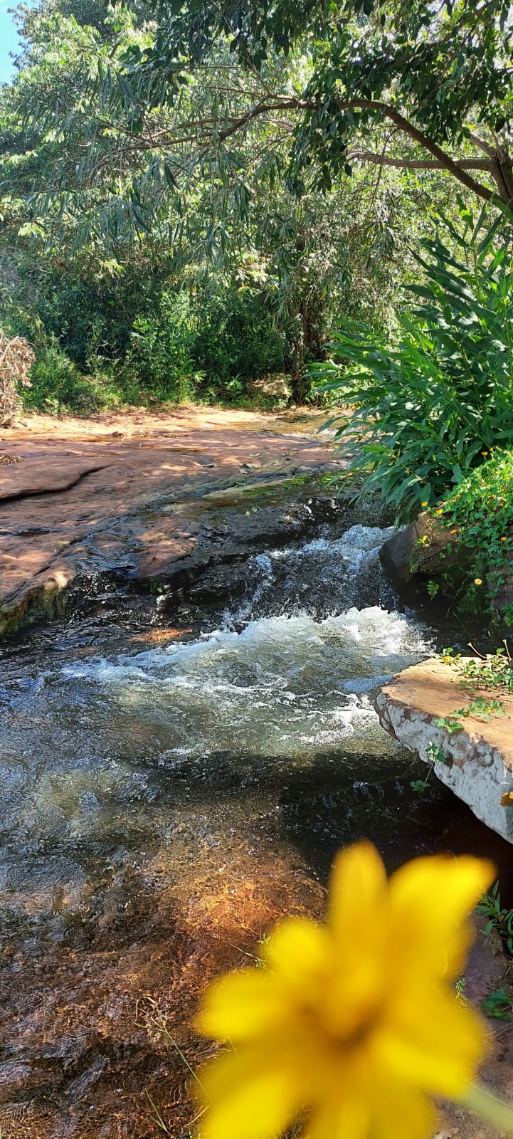 En Venta Terreno En Paraguari A Pasos Del Arroyo — foto 3