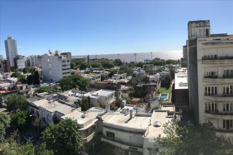 Apartamentos En Punta Carretas
