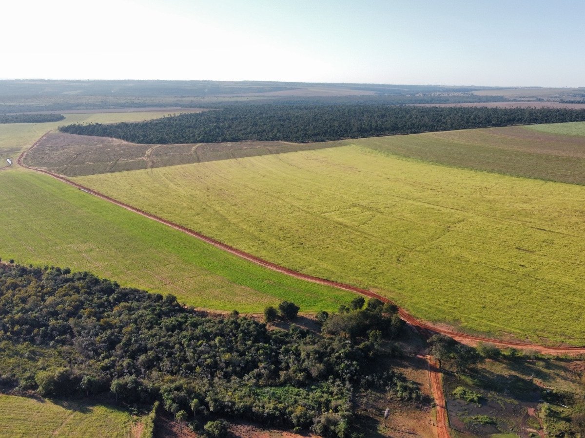 CAMPO EN VENTA -CURUGUATY! – 1.001 HECTÁREAS PRODUCTIVAS — foto 2