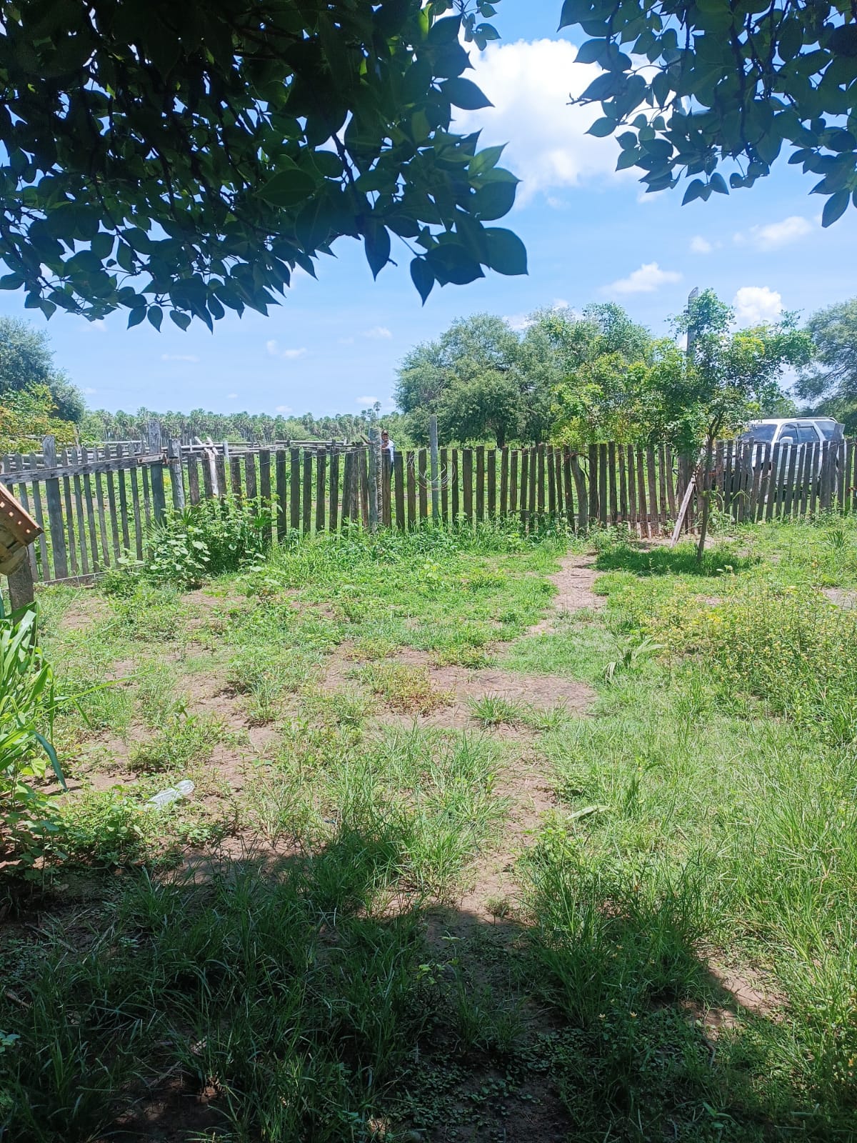 Venta De Campo - Zona Chaco Paraguayo — foto 3