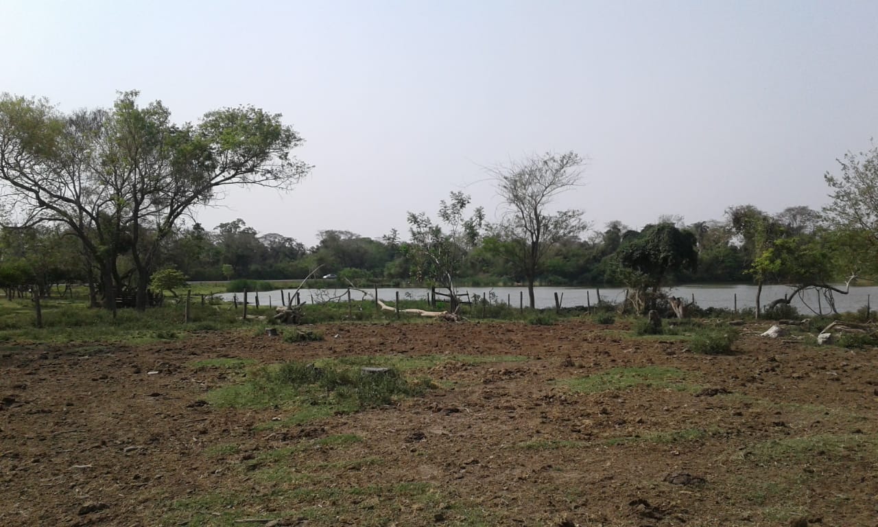 VENDO ESTANCIA DISTRITO DE 25 DE DICIEMBRE, SAN PEDRO. — foto 2