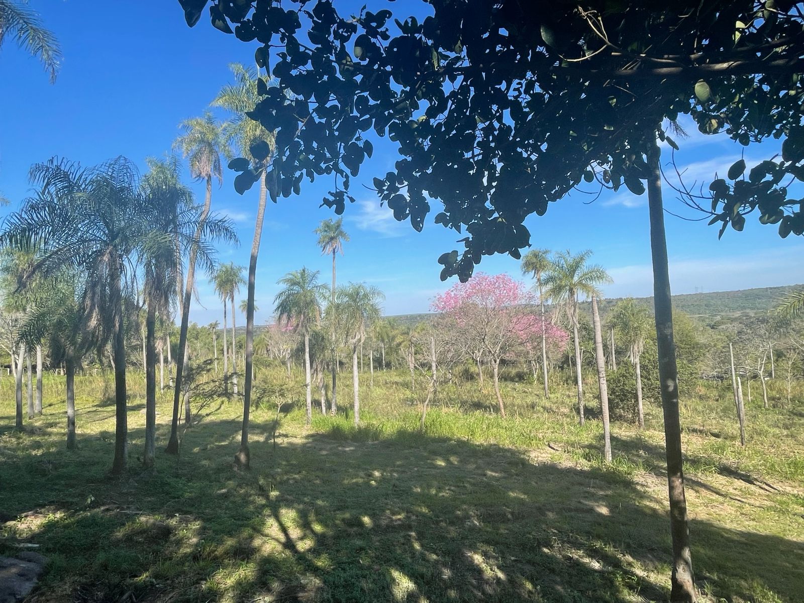 Terreno en venta en Loma Grande — foto 2