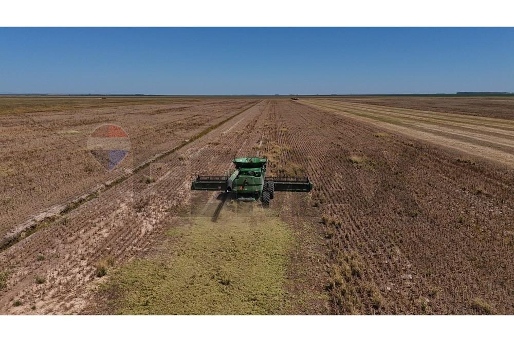 Área Agrícola de Alto Rendimiento en Venta – Inversión Productiva — foto 3