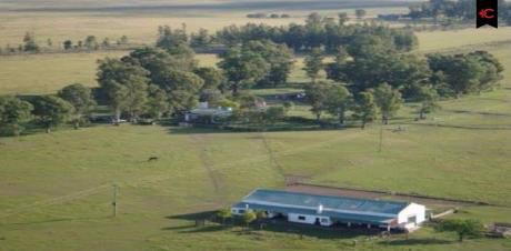 Campo Ganadero En Paysandú En Venta. Ref: 5322