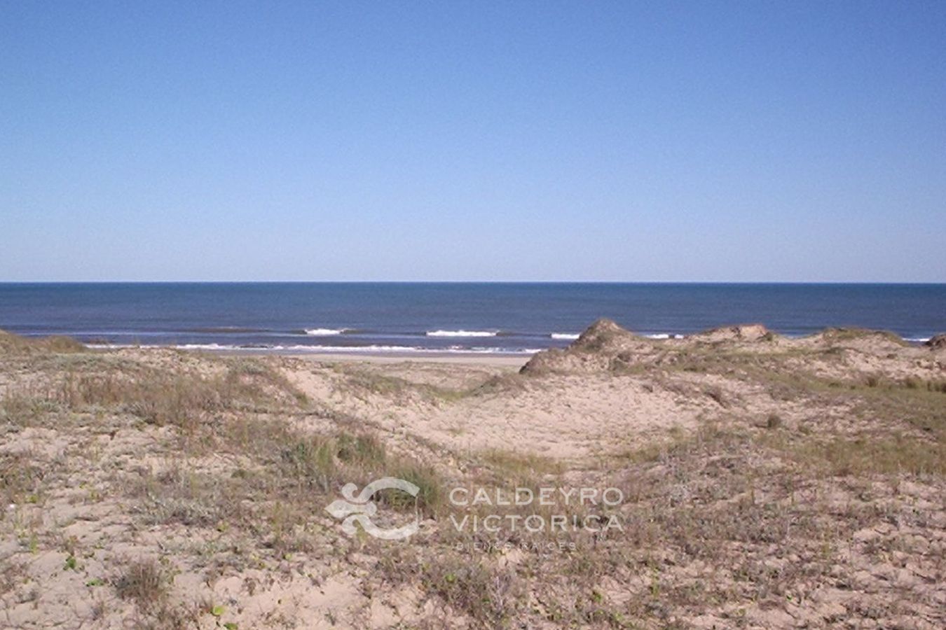 Campo con costa Oceánica en Rocha ref. 1562 - foto 1