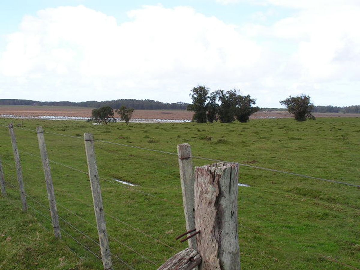 Campo con costa Oceánica en Rocha ref. 1562 - foto 4