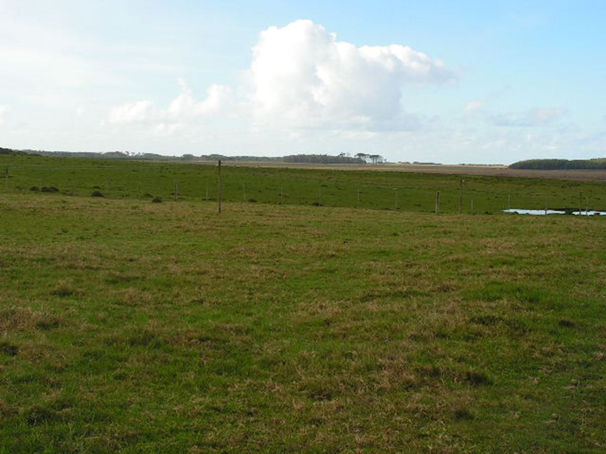 Campo con costa Oceánica en Rocha ref. 1562 - foto 5