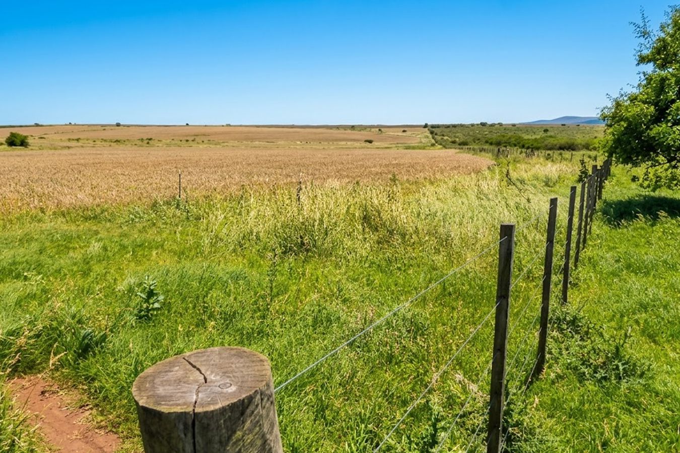 Campo en venta en Paysandú 10413, 813 hectáreas ganadero agrícola - foto 2