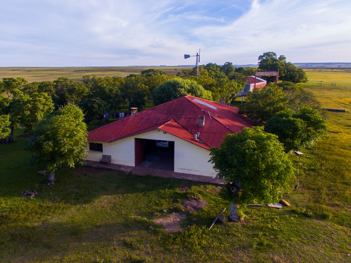 Campo en venta en Salto ref. 8771 - foto 4