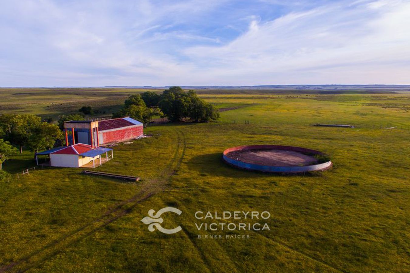 Campo en venta en Salto ref. 8771 - foto 1