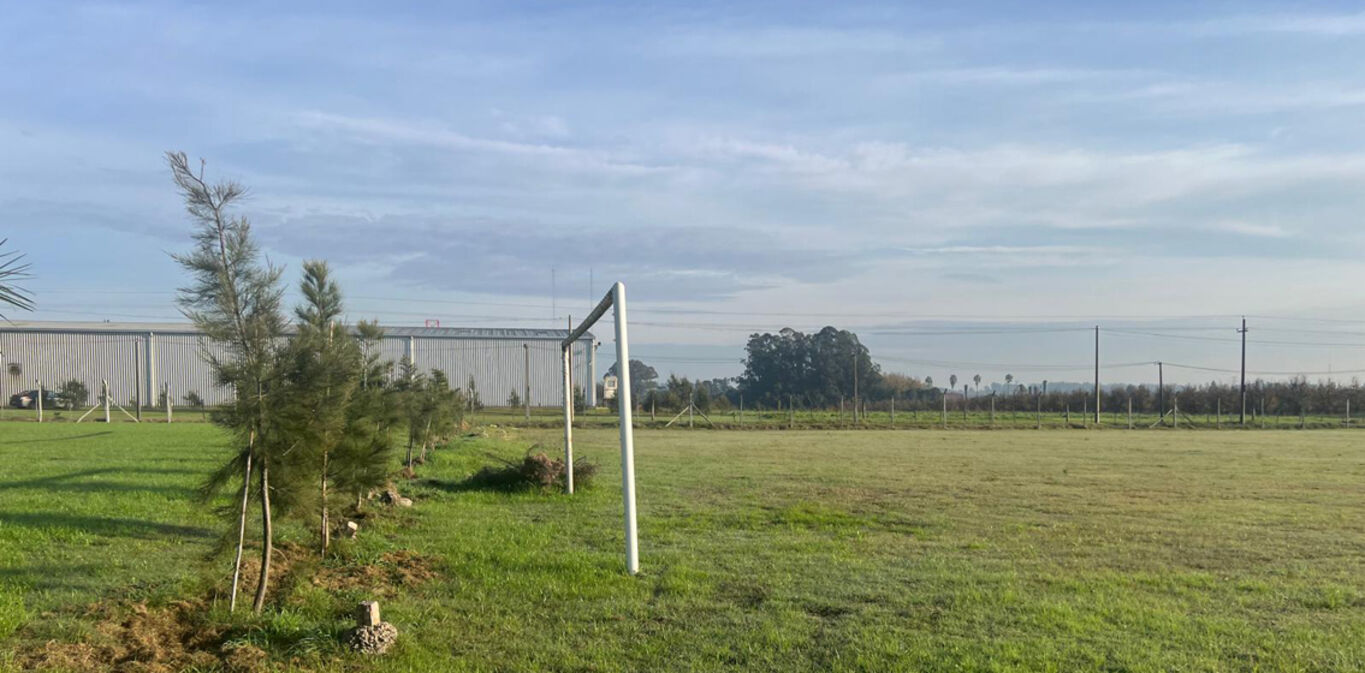 COMPLEJO DE CANCHAS EN ALQUILER EN MONTEVIDEO · Foto 5