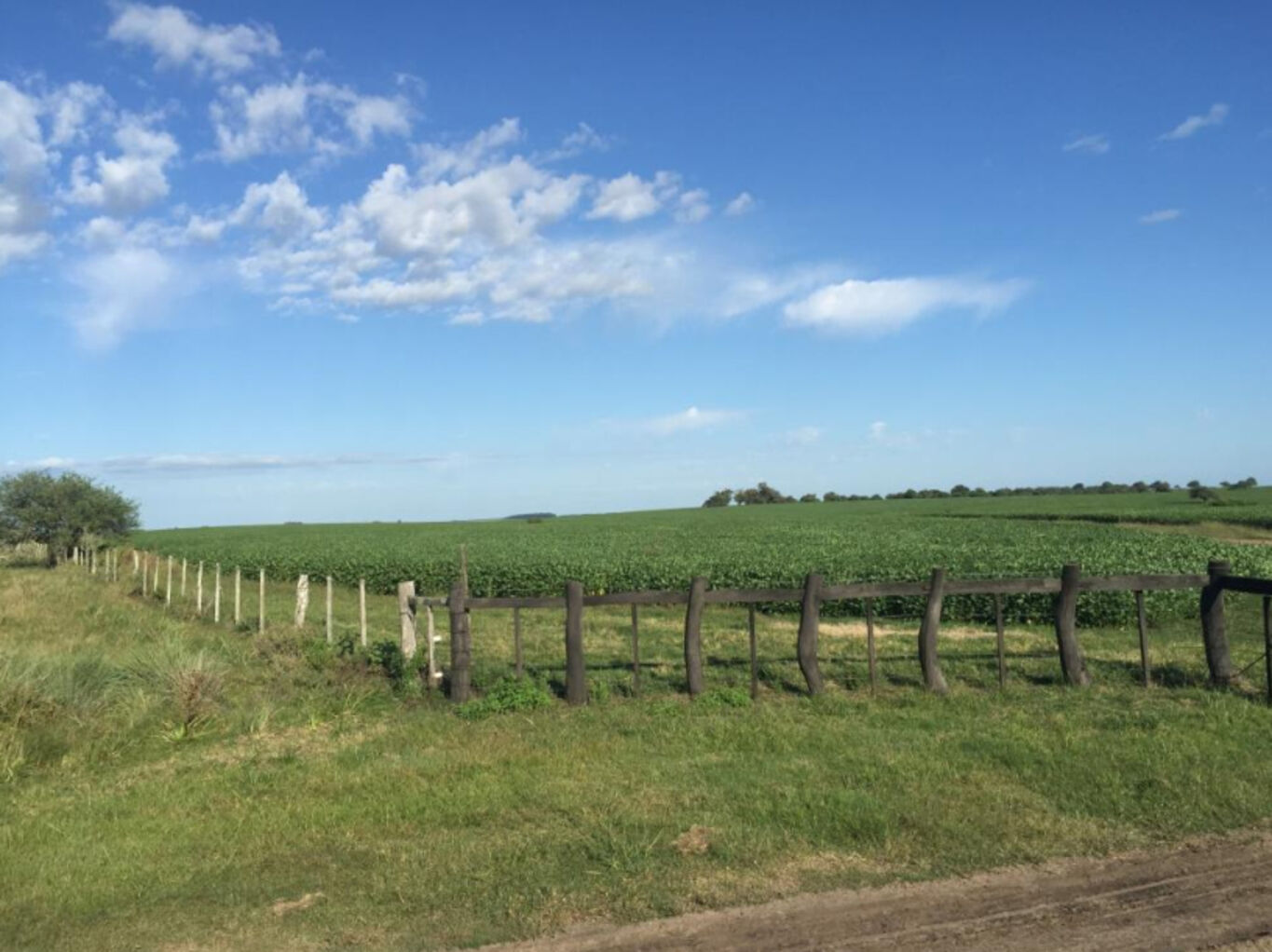CAMPO EN PAYSANDU - foto 4
